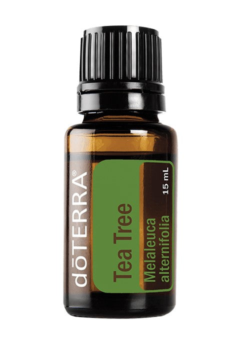 Árbol de Té (Melaleuca alternifolia) 15 mL